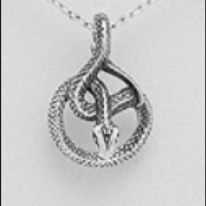 Sterling Silver Snake Pendant🐍 ~